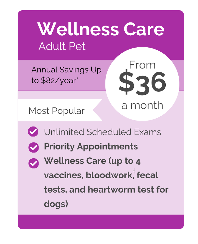 Westport VIPet Plan_pricing_Wellness_Modern